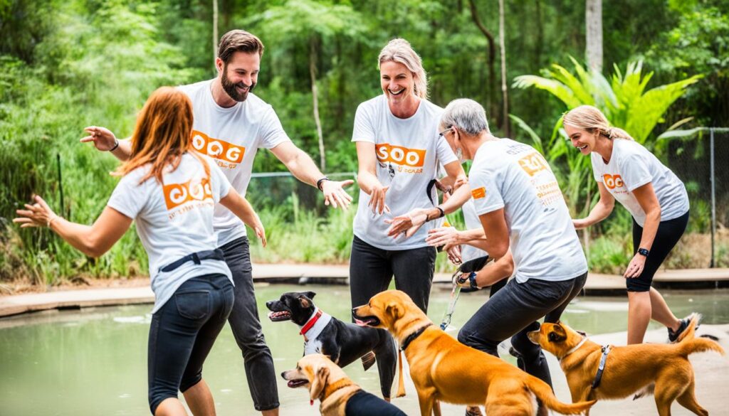 Volunteering at the Soi Dog Foundation